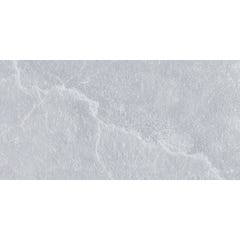 Faïence gris effet pierre l.25 x L.50 cm Wellness