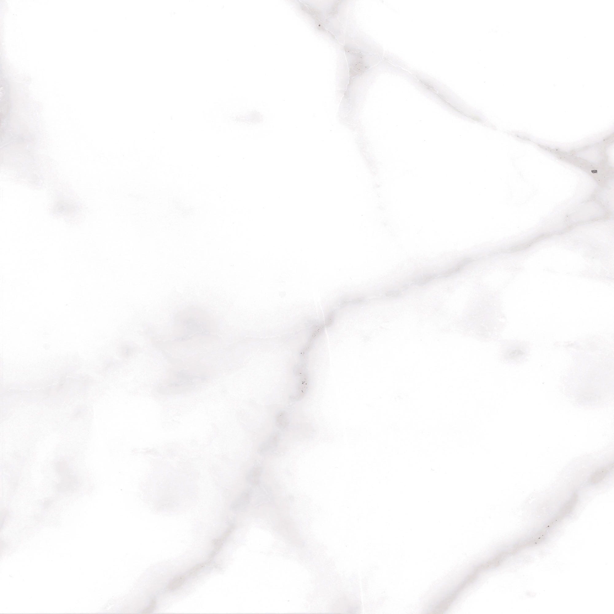 Carrelage intérieur blanc effet marbre l.60,5 x L.60,5 cm Palatina 0