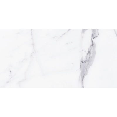 Carrelage intérieur sol et mur blanc effet marbre l.30 x l.60 cm Palatina  0