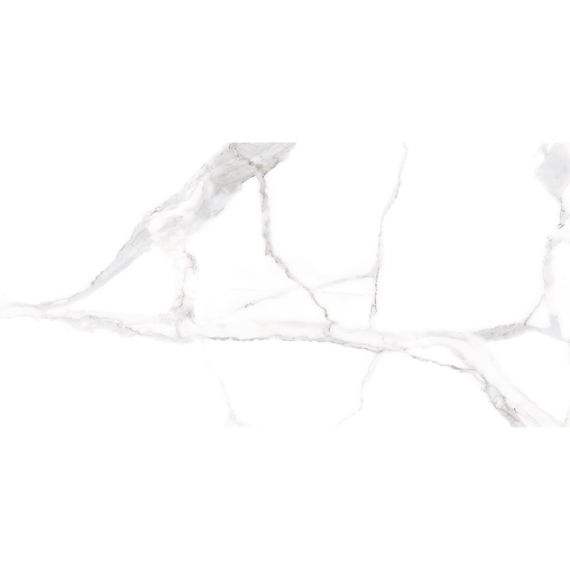 Carrelage sol intérieur effet marbre l.60x L.120cm - Florencia Blanc 0