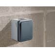 Va et vient à voyant IP55 gris Storm ZEIGER - DEBFLEX