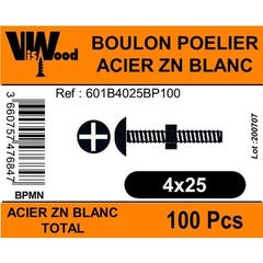 Boulon poêlier zingué 4 x 25 mm 100 pièces - VISWOOD 0