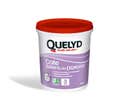 Colle dalles de plafond en pâte 1 kg - QUELYD