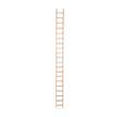 Echelle de toit en bois 2x10 échelons - HAILO