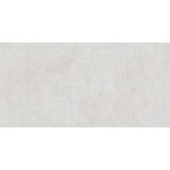 Carrelage de sol intérieur gris perle effet béton l.60 x L.120 cm Tamy