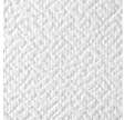 Toile de verre G602C 245 g/m² l.1 x L.25 m - TASSOGLAS