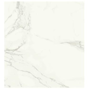 Carrelage intérieur effet marbre l.60 x L.60 cm Statuario 0