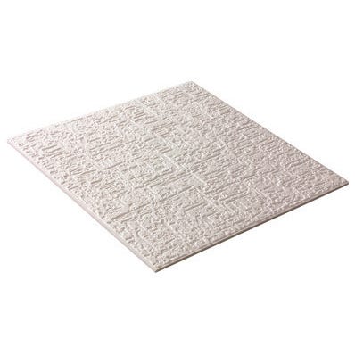 DALLE PLAFOND MOD LE CR PI Bricoman DALLE PLAFOND MOD LE CR PI Bricoman