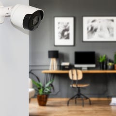 Caméra de surveillance factice type tube - SEDEA - 551180 3