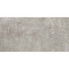 Carrelage sol extérieur effet pierre l.30,8 x L.61,5 cm - Ever Grey 1