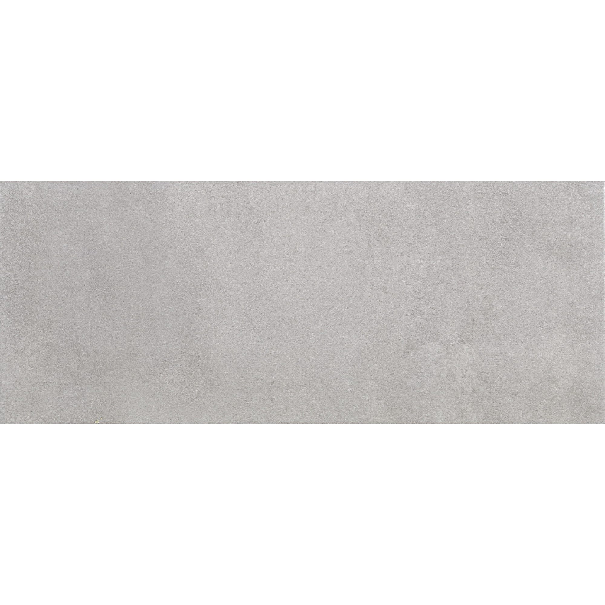 Faïence gris effet béton l.20 x L.50 cm Portland 1