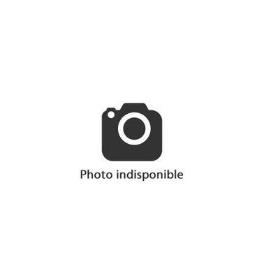 Porte D Entree Pvc Wilder 215x90 Droite Bricoman