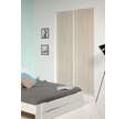 Pack pte de placard 2500x1200 acacia