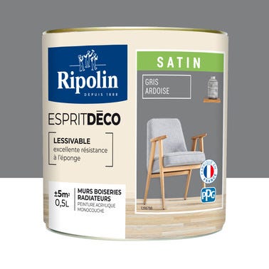 Peinture intérieure multi-supports acrylique satin gris ardoise 0,5 L Esprit déco - RIPOLIN 0