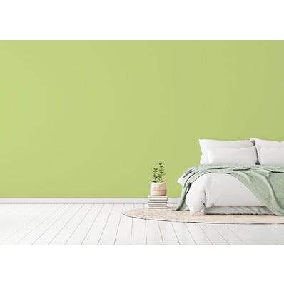 Peinture intérieure mat vert kombu teintée en machine 4L HPO - MOSAIK