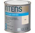 Peinture intérieure multi-supports acrylique monocouche satin lin 0,5 L - INTENS