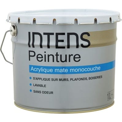Peinture intérieure murs et plafonds acrylique monocouche mat blanc 10 L - INTENS 0