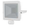 PROJECTEUR 30W BLANC DETECT IP54 2400LM
