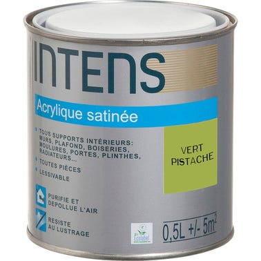 Peinture intérieure multi-supports acrylique monocouche satin vert pistache 0,5 L - INTENS 0