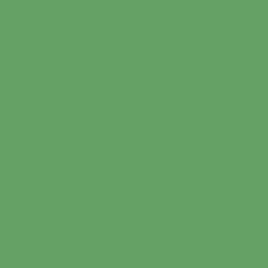 Peinture intérieure velours vert mona teintée en machine 3 L Altea - GAUTHIER 0