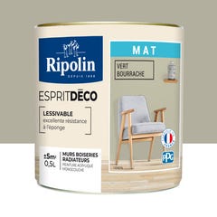Peinture intérieure multi-supports acrylique mat vert bourrache 0,5 L Esprit déco - RIPOLIN