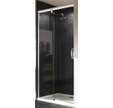 Porte de douche coulissante gauche l.160 x H.200 x Ep.0,06 cm X2
