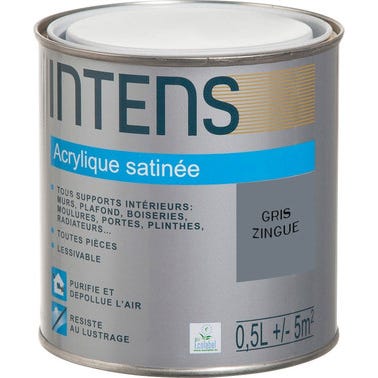 Peinture intérieure multi-supports acrylique monocouche satin gris zingué 0,5 L - INTENS 0