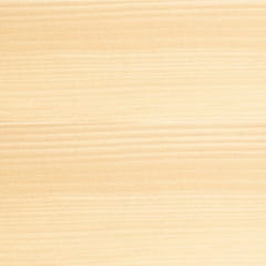 Saturateur terrasse bois incolore 5 L Edition limitée - BONDEX 1