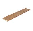 PLANCHE TRAITE AUTOCLAVE 25X197 4ML