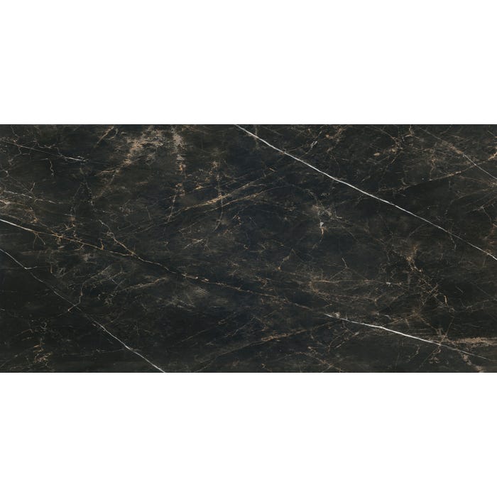 Carrelage sol intérieur effet marbre l.60x L.120cm - Verdi Noir 1