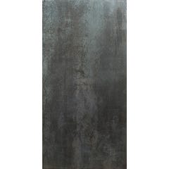 Carrelage intérieur gris effet métal l.29,2 x L.58,5 cm 1