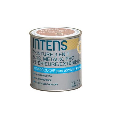Peinture 3 En 1 Blanc 5 L Intens Bricoman