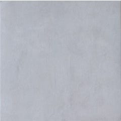 Carrelage intérieur sol et mur gris effet béton l.61,5 x L.61,5 cm Paris Bastille 0