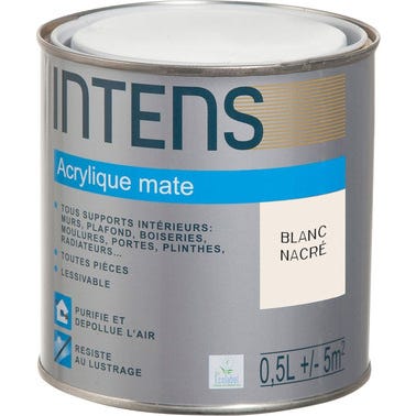 Peinture intérieure multi-supports acrylique monocouche mate blanc nacré 0,5 L - INTENS 0