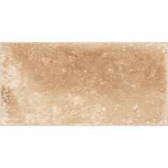 Carrelage sol extérieur effet pierre l.15 x L.30 cm - Cotto Crema 4