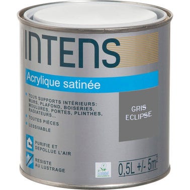 Peinture intérieure multi-supports acrylique monocouche satin gris eclipse 0,5 L - INTENS 0