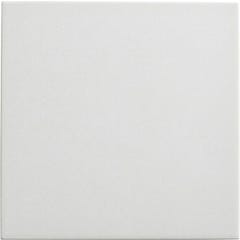 carrelage intérieur blanc uni l.22,3 x L.22,3 cm Great 1