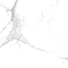 Carrelage de sol intérieur blanc brillant effet marbre l.60.5 x L.60.5 cm Palais