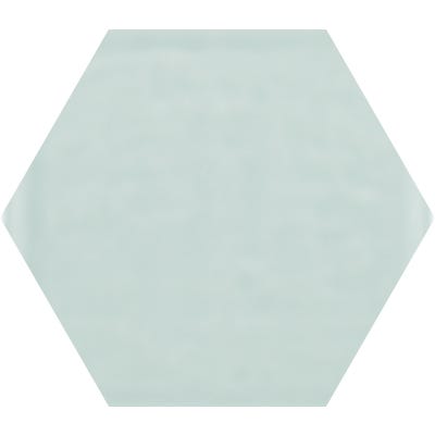 Faience 19,8 x 22,8 cm shiny white hexagonal 0