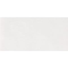 Faïence blanc effet pierre l.25 x L.50 cm Terre 1