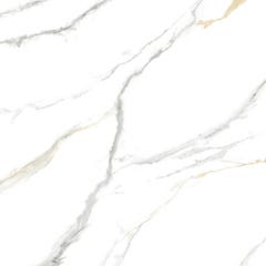 Carrelage de sol intérieur blanc mat effet marbre l.60 x L.60 cm Salamanca
