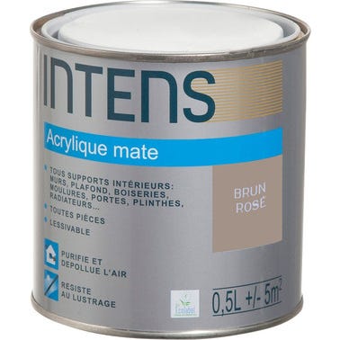 Peinture intérieure multi-supports acrylique monocouche mate brun rose 0,5 L - INTENS 0
