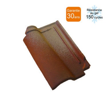 Tuile Romane Provencale Bricoman