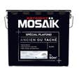 Peinture glycéro Plafond ancien ou taché MOSAIK Mat Blanc 5L