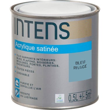 Peinture intérieure multi-supports acrylique monocouche satin bleu rivage 0,5 L - INTENS 0