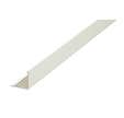 Boite de 40 cornières peripherique l 3000 x h24 mm