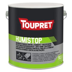 Enduit spécifique murs humides en pâte intérieur & extérieur 5 kg - Humistop TOUPRET 0