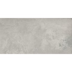 Carrelage intérieur sol et mur gris effet métal l.30 x L.60 cm Xmetal Argento 0