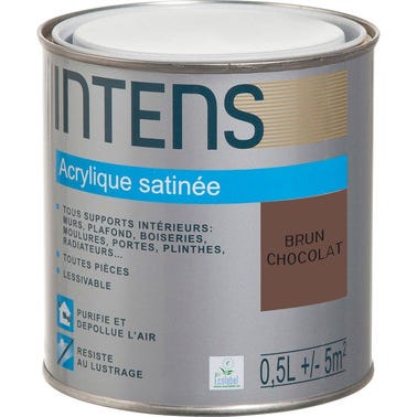 Peinture intérieure multi-supports acrylique monocouche satin brun chocolat 0,5 L - INTENS 0