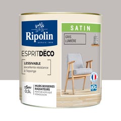 Peinture intérieure multi-supports acrylique satin gris lumière 0,5 L Esprit déco - RIPOLIN 0